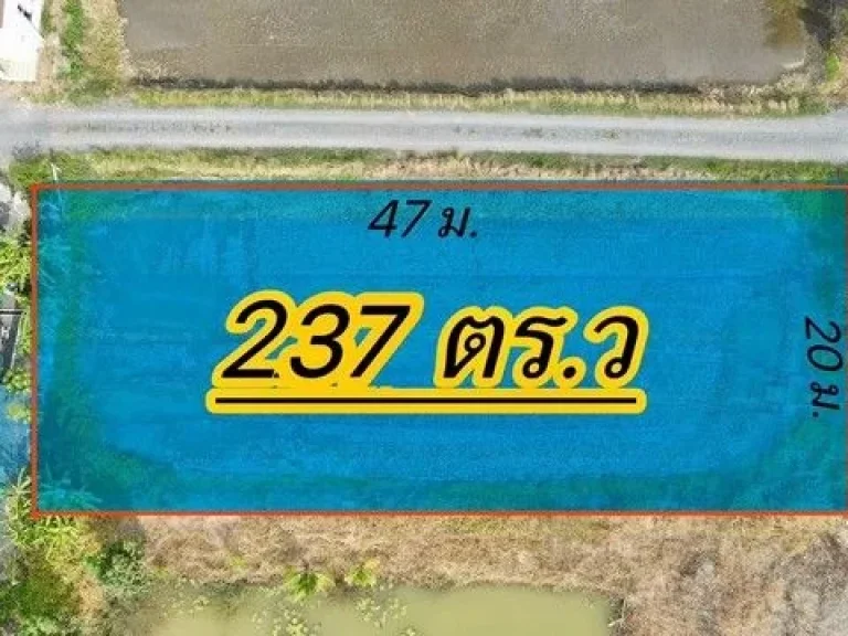 ขายที่ดินคลอง11 หนองเสือ 237 ตรว ติดถนน2ด้านเข้าซอยจากถนน50