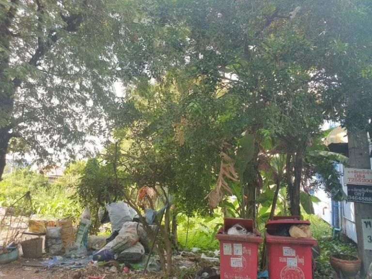 ที่ดินหมู่บ้านลิขิต7 บางพลีใหญ่ อยู่ตรงข้ามวัดบางพลีใหญ่