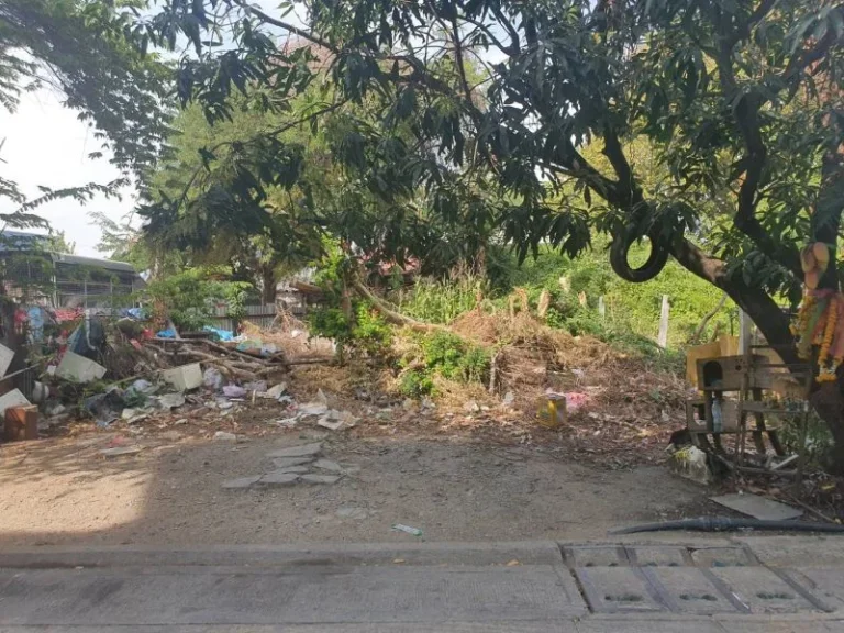 ที่ดินหมู่บ้านลิขิต7 บางพลีใหญ่ อยู่ตรงข้ามวัดบางพลีใหญ่