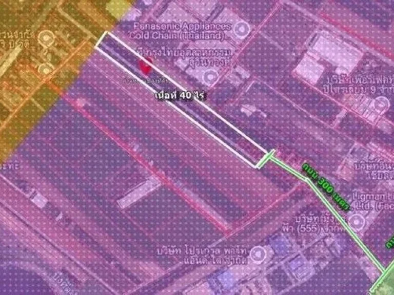 ขายที่ดินEEC 40 ไร่ผังที่ดินม่วงจุดสีขาวเหมาะสร้างโรงงานทุกป