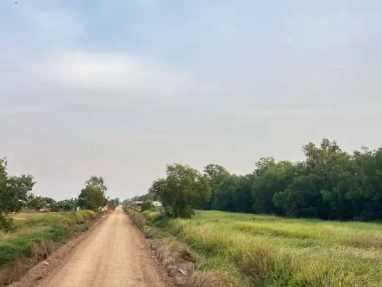 ที่สวยทำเลดี คลอง 9 หนองเสือ ปทุมธานี 200ตรว 759000-