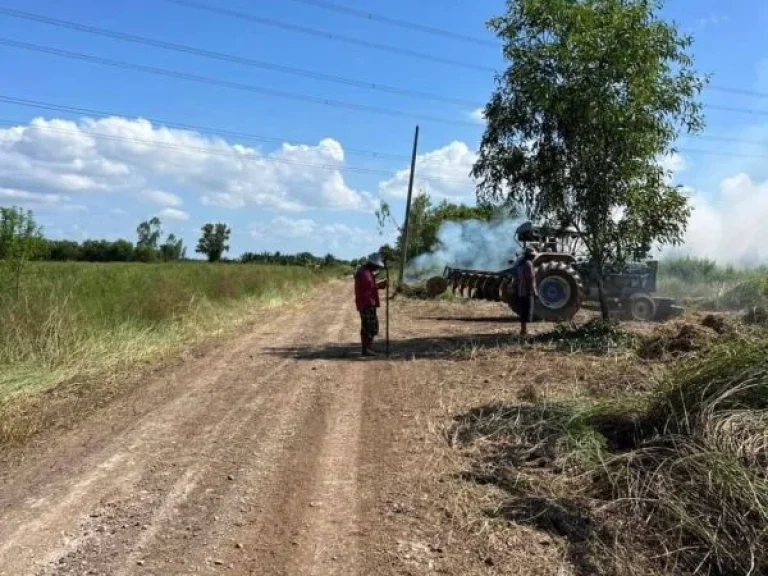 รีบจองเลยที่ดินราคาถูก ตหนองสามวังใต้ คลอง12 ปทุมธานี