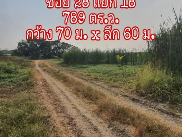 ขายถูกที่ดินสี่เหลี่ยมผืนผ้า เฉลิมพระเกียรติ ร9 ซอย 28 แยก