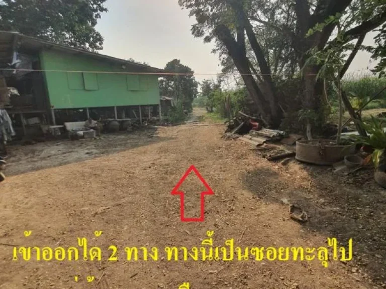 ขายถูกที่ดินสี่เหลี่ยมผืนผ้า เฉลิมพระเกียรติ ร9 ซอย 28 แยก