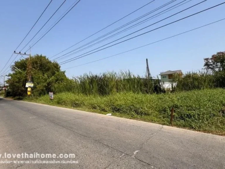 ขายที่ดิน ถนนรังสิต-นครนายก17 พื้นที่ 100 ตรว