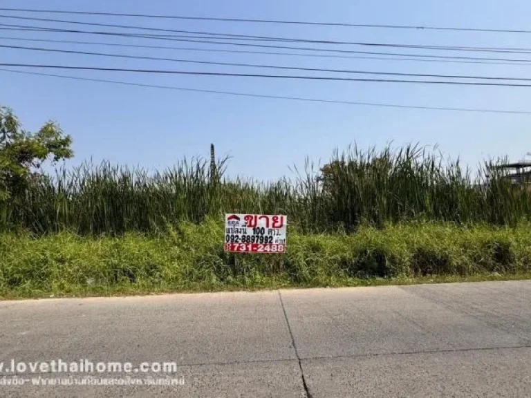 ขายที่ดิน ถนนรังสิต-นครนายก17 พื้นที่ 100 ตรว