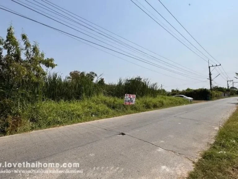 ขายที่ดิน ถนนรังสิต-นครนายก17 พื้นที่ 100 ตรว