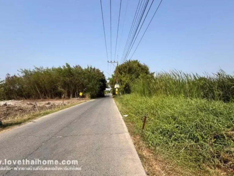 ขายที่ดิน ถนนรังสิต-นครนายก17 พื้นที่ 100 ตรว