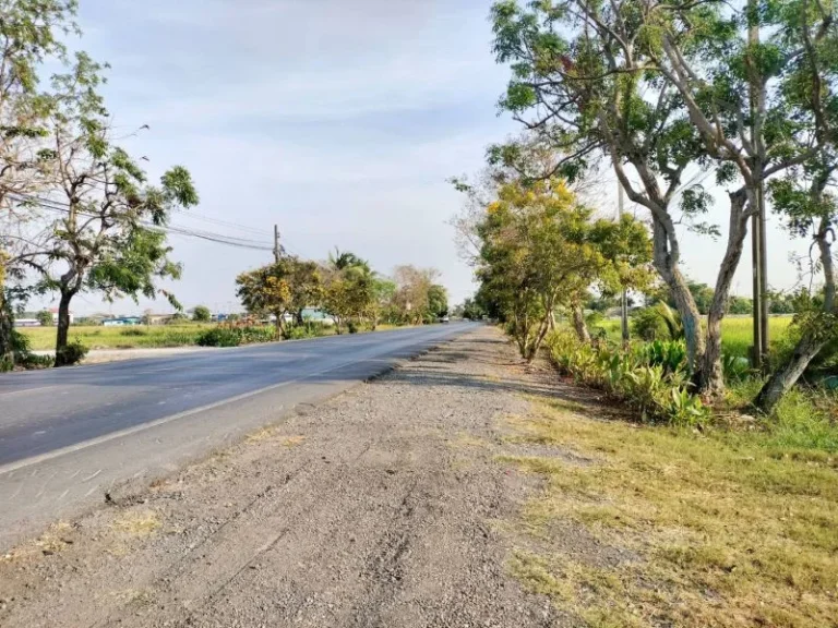 ที่ดินติดถนนสังฆสันติสุข กระทุ่มราย หนองจอก กรุงเทพ