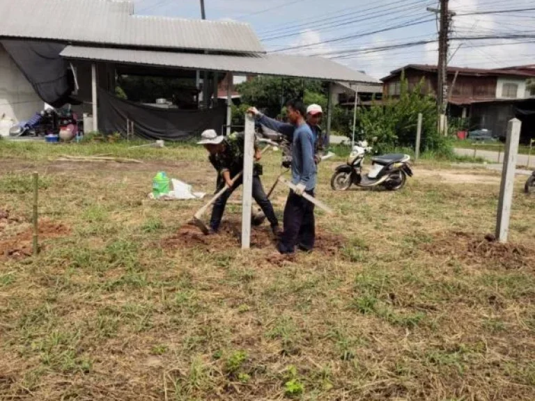 ขายที่ดินซอย3 หางจากริมโขง 100 เมตร ตพานพร้าว อศรีเชียงใหม่