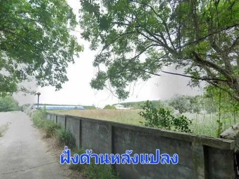 ขายที่ดินแปลงสวยติดถนนสองฝั่งหน้าหลังพื้นที่ม่วงจุดขาว