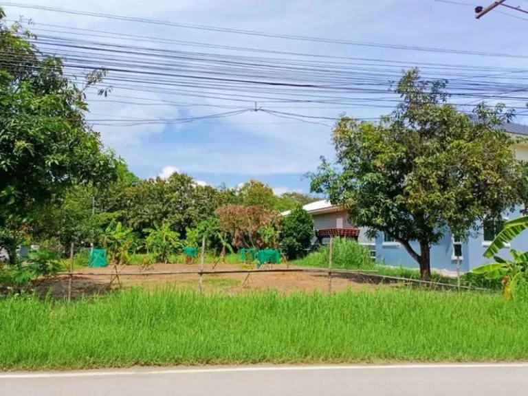 ขายที่ดินหน้าติดถนนหลังวิววดอยยุหว่าสันป่าตองโฉนดพร้อมโอน