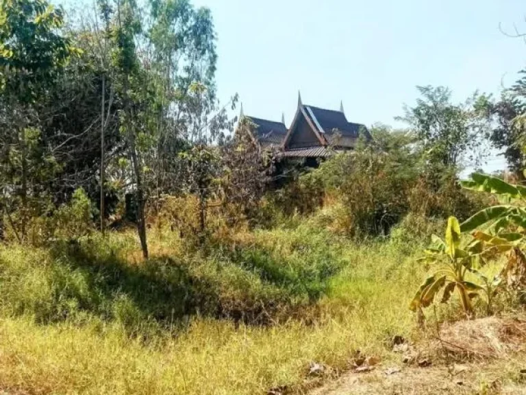 ที่ดินแปลงสวย ติดถนนสี่เลน อประโคนชัย บุรีรัมย์