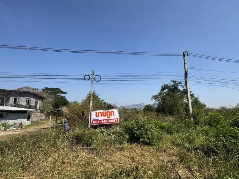 ขายถูก ที่ดิน ตาดข่า หนองหินเลย จำนวน 1 ไร่