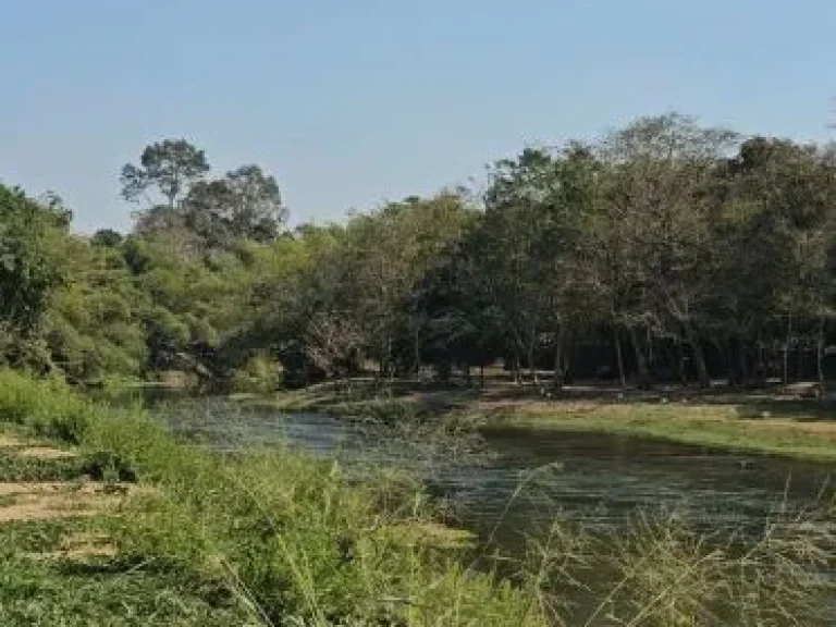 ขายที่ดินสวยระดับนางฟ้า 17 ไร่ ติดริมแม่น้ำเพชรบุรี