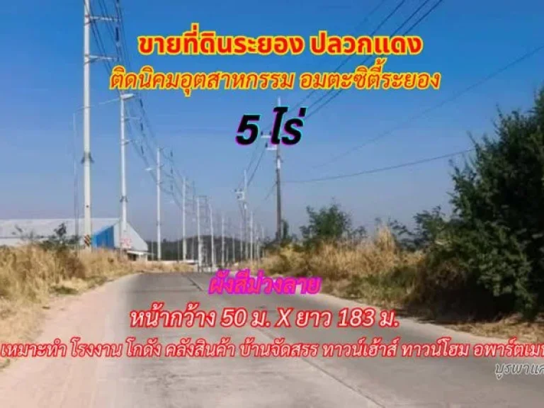 ขายที่ดินระยอง ปลวกแดง 5 ไร่ พื้นที่สีม่วงลาย