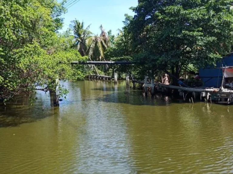 ขายที่ดินถมแล้วติดคลองพระสะทึงและติดถนนสาธารณะ เนื้อที่ 41