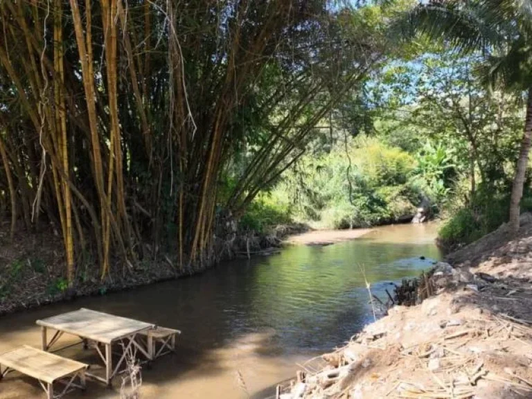 ขายที่ดินแม่ริม ติดน้ำ วิวภูเขา ใกล้โรงแรมโฟร์ซีซั่น เนื้อที่