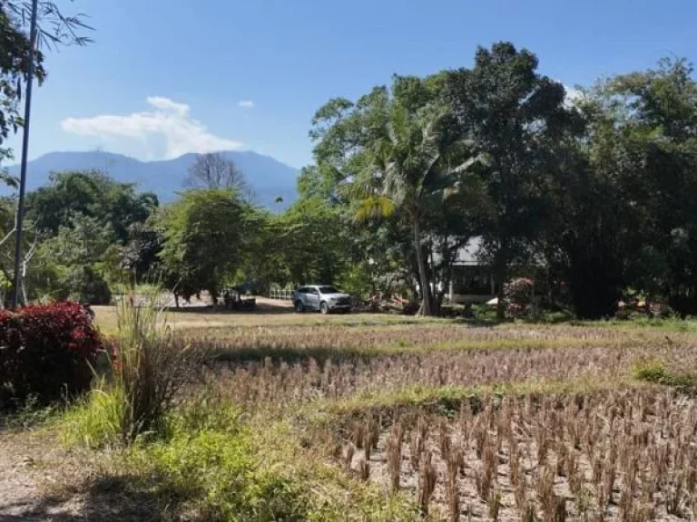 ขายที่ดินแม่ริม ติดน้ำ วิวภูเขา ใกล้โรงแรมโฟร์ซีซั่น เนื้อที่