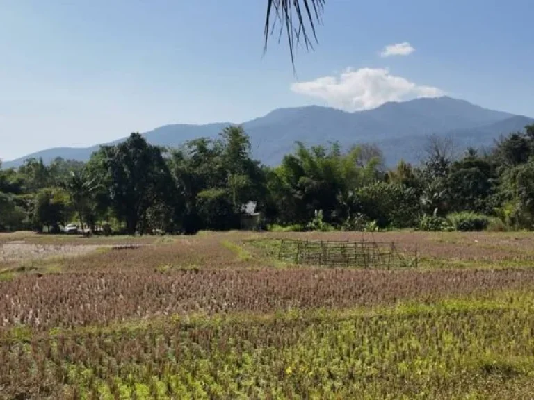 ขายที่ดินแม่ริม ติดน้ำ วิวภูเขา ใกล้โรงแรมโฟร์ซีซั่น เนื้อที่