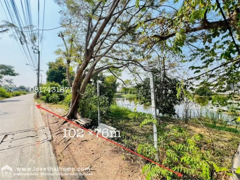 ขายที่ดิน ติดถนนซอยร่มโพธิ์ทอง2 บางกรวย-ไทรน้อย จนนทบุรี