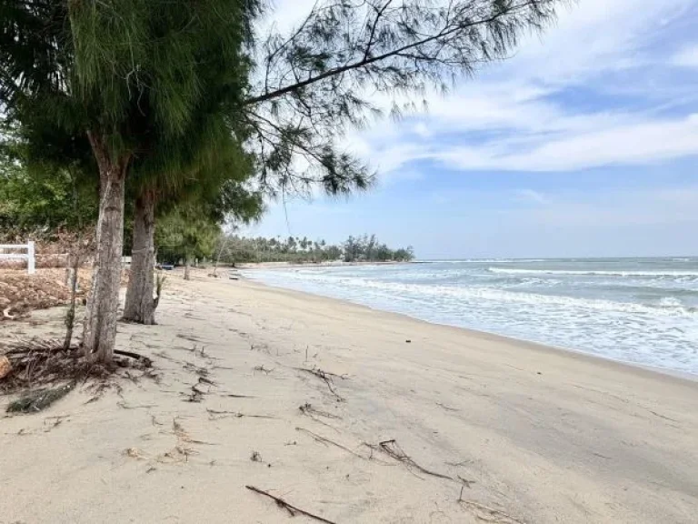 ที่ดินโฉนดติดทะเล ทับสะแก-บ้านกรูด จประจวบคีรีขันธ์