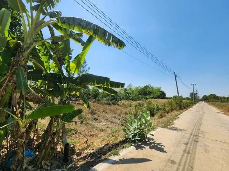 ขายด่วน ที่ดิน 200 ตรวซคลองสาม 1219 ใกล้วัดพระธรรมกาย