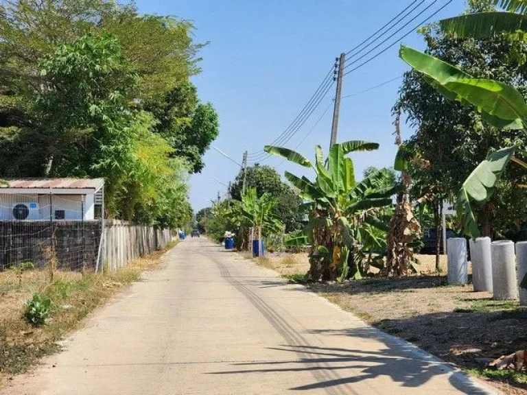 ขายด่วน ที่ดิน 200 ตรวซคลองสาม 1219 ใกล้วัดพระธรรมกาย