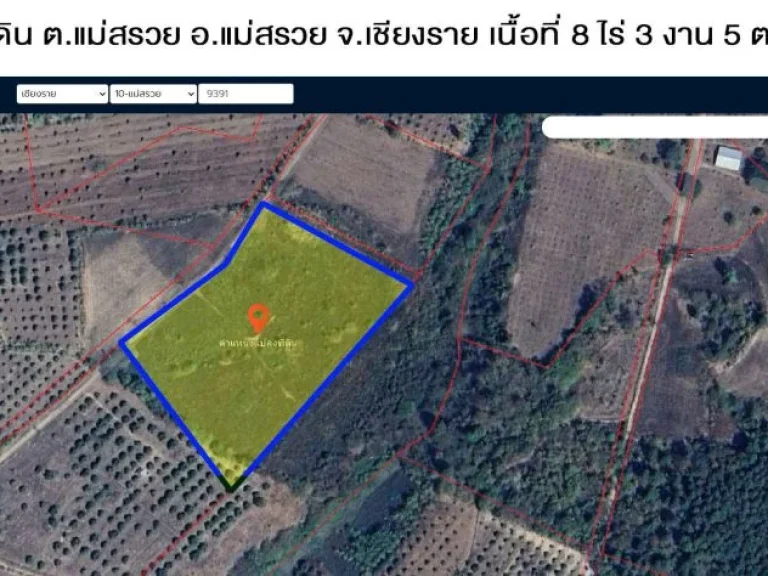 ขายที่ดิน ตแม่สรวย อแม่สรวย จเชียงราย เนื้อที่ 8 ไร่ 3 งาน