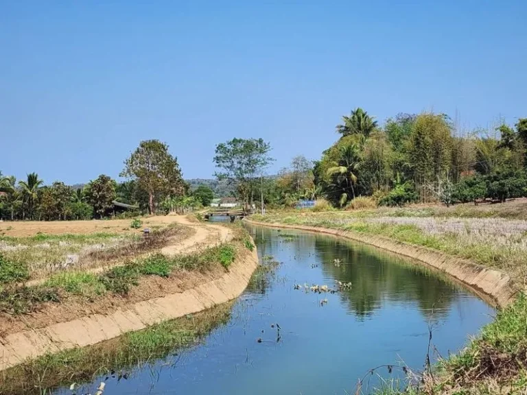 ขายที่ดินวิวดอยหลวงวิวเลตลำคลองโฉนดพร้อมโอนราคาถูก