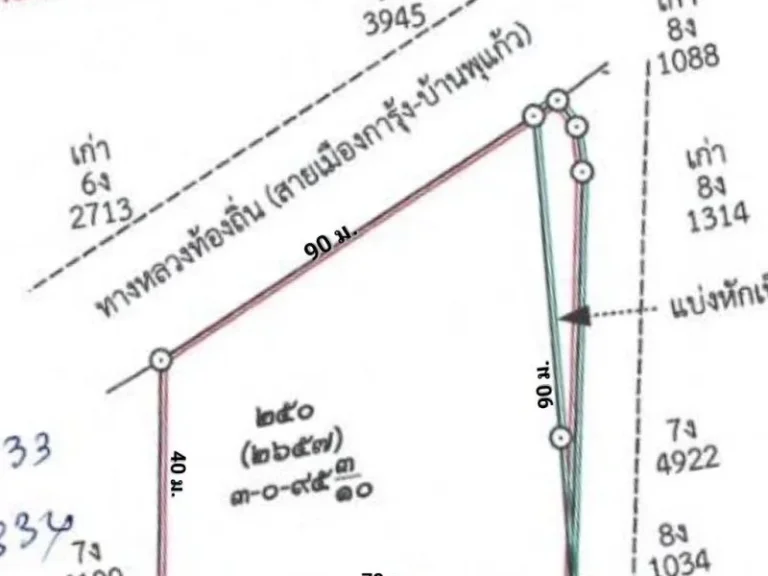 ที่ดิน เมืองการุ้ง อุทัยธานี 3 ไร่ 95 ตรว พร้อมปลูกบ้านสวน