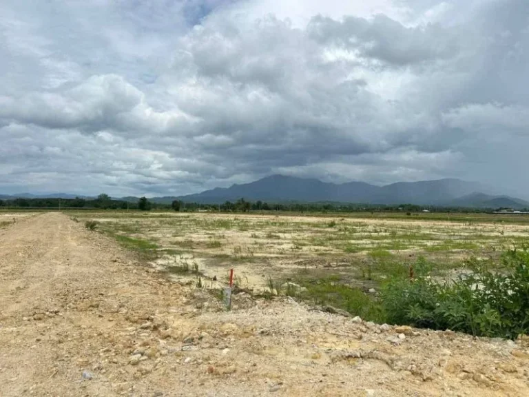 ขายถูกมาก ที่ดินแปลงสวย ติดถนน ทำเลดี 10 ไร่ 73 ตรว