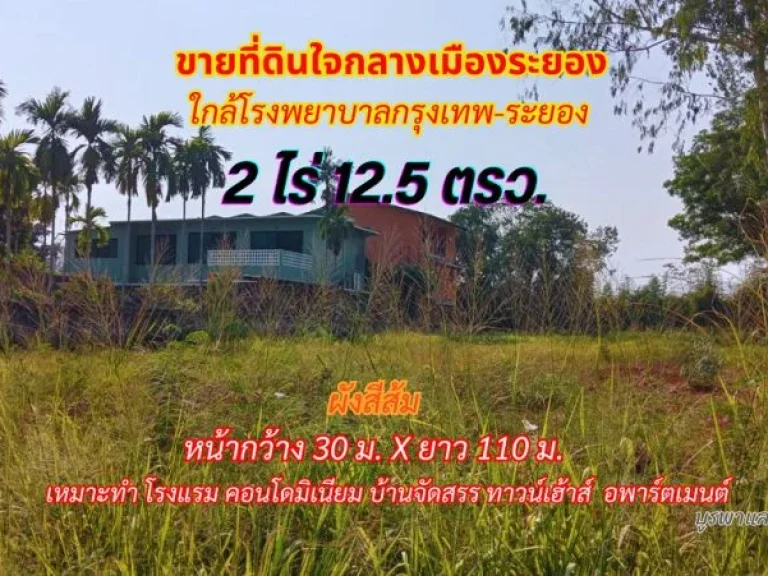 ขายที่ดินกลางเมืองระยอง 2 ไร่ 125ตรว พื้นที่สีส้ม