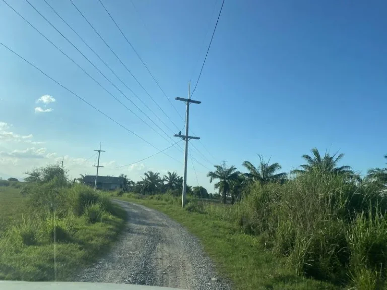 ขายที่ดิน180ไร่ใกล้โรงงานอุตสาหกรรมและแหล่งเพาะปลูกปาล์มน้ำม