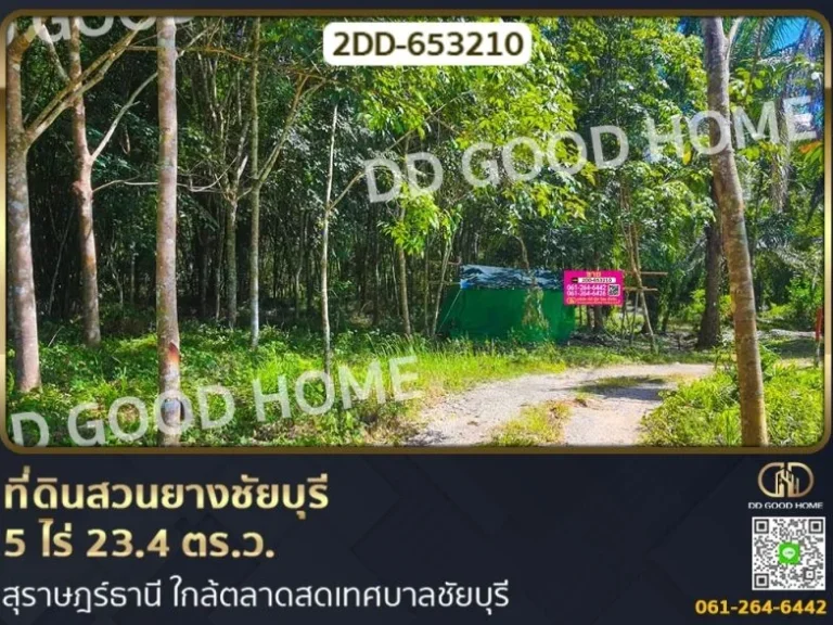 ที่ดินสวนยางชัยบุรี 5 ไร่ 234 ตรว สุราษฎร์ธานี