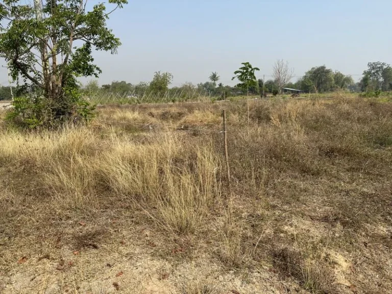 ที่ดินเปล่า ตหนองสาหร่าย อดอนเจดีย์ จสุพรรณบุรี