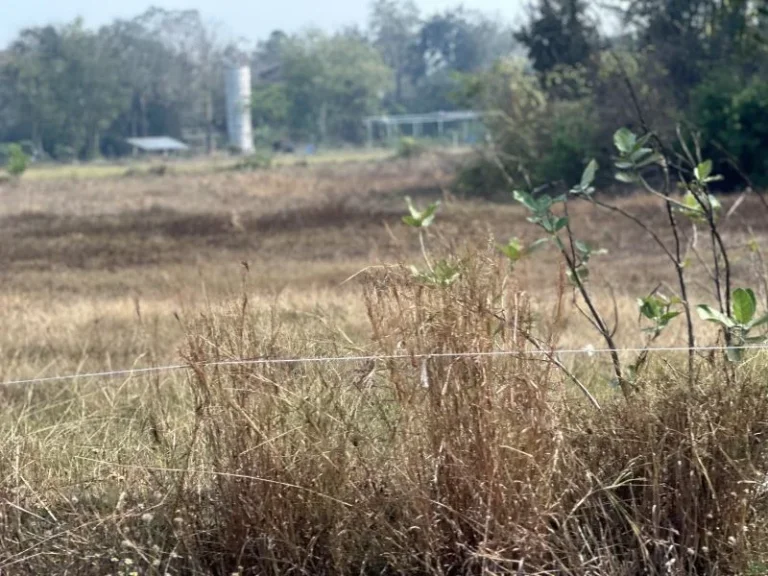 ที่ดินเปล่า ตหนองสาหร่าย อดอนเจดีย์ จสุพรรณบุรี