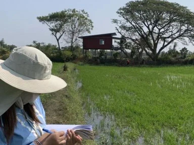 ขายที่ดิน บ้านดอนยานาง อยางตลาด จกาฬสินธุ์