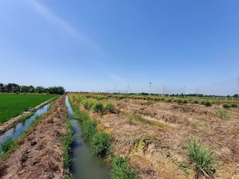 ขายที่ดินใกล้สนามฟุตซอลคลองห้า 1 ไร่ ติดถนนคอนกรีตสาธารณะ