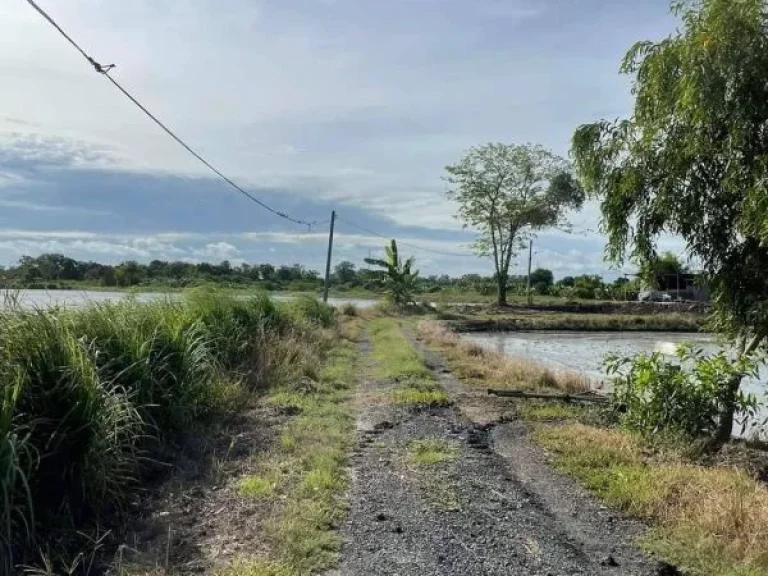 ขายที่ดินบ่อกุ้งบางขนาก 18 ไร่ ติดคลอง2ด้าน