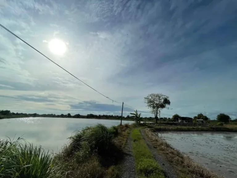 ขายที่ดินบ่อกุ้งบางขนาก 18 ไร่ ติดคลอง2ด้าน