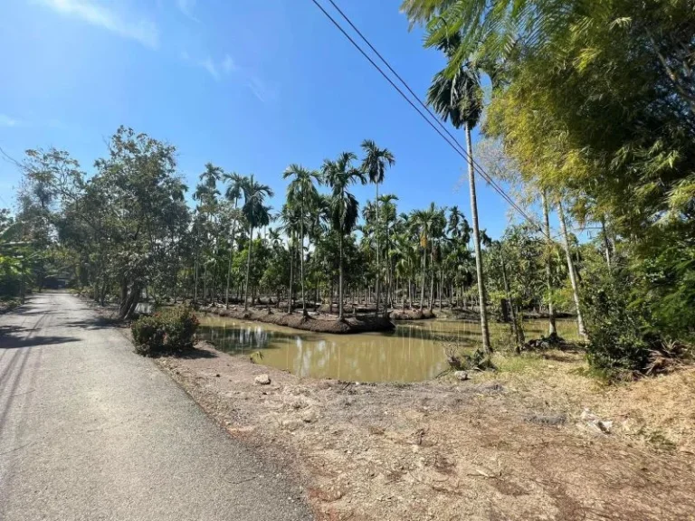 ขายที่ดินติดแม่น้ำบางปะกง 2 ไร่ ได้พื้นที่งอกเพิ่มติดถนนลาดย