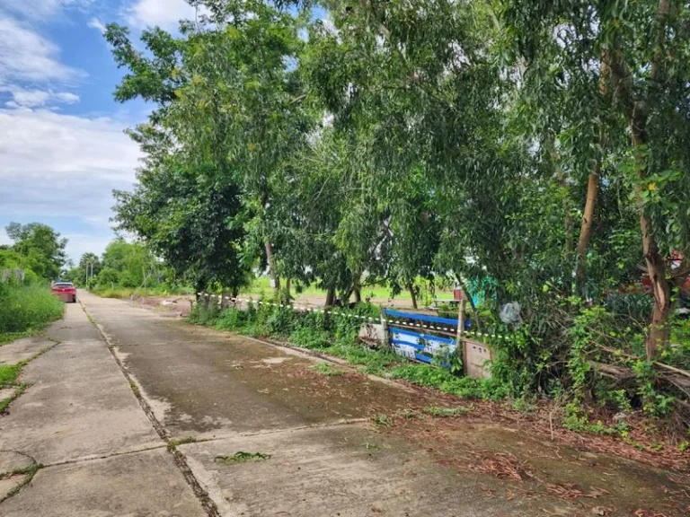 ขาย ที่ดิน 1 งาน ซคลองห้าตะวันตก 73 อคลองหลวง จปทุมธานี