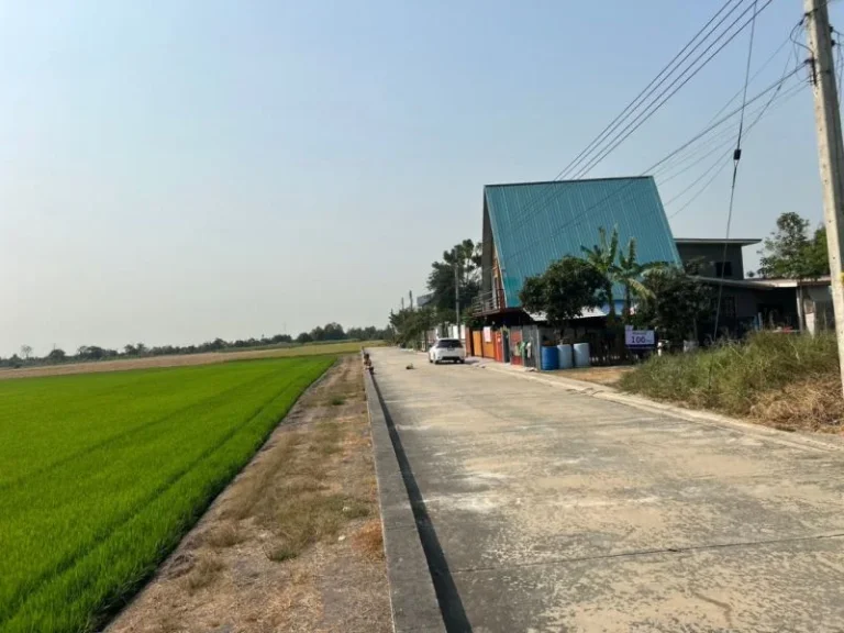 ขายที่ดิน 100 ตรว ถนน เรียบคลองเจ็ก ลาดหลุมแก้ว ปทุมธานี