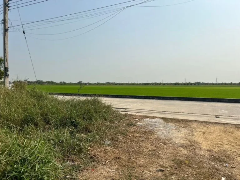 ขายที่ดิน 100 ตรว ถนน เรียบคลองเจ็ก ลาดหลุมแก้ว ปทุมธานี