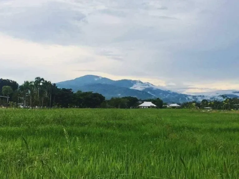 ขายหรือให้เช่าถูกมาก บ้านเดี่ยวชั้นเดียวสุดหรู