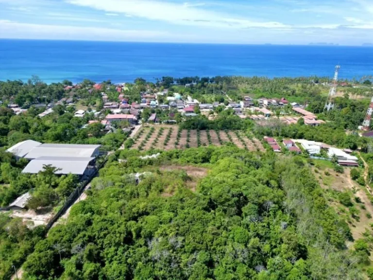 ขายที่ดิน Sea View สุดพิเศษ บนเกาะลันตา ทำเลทองพร้อมวิวทะเลแ