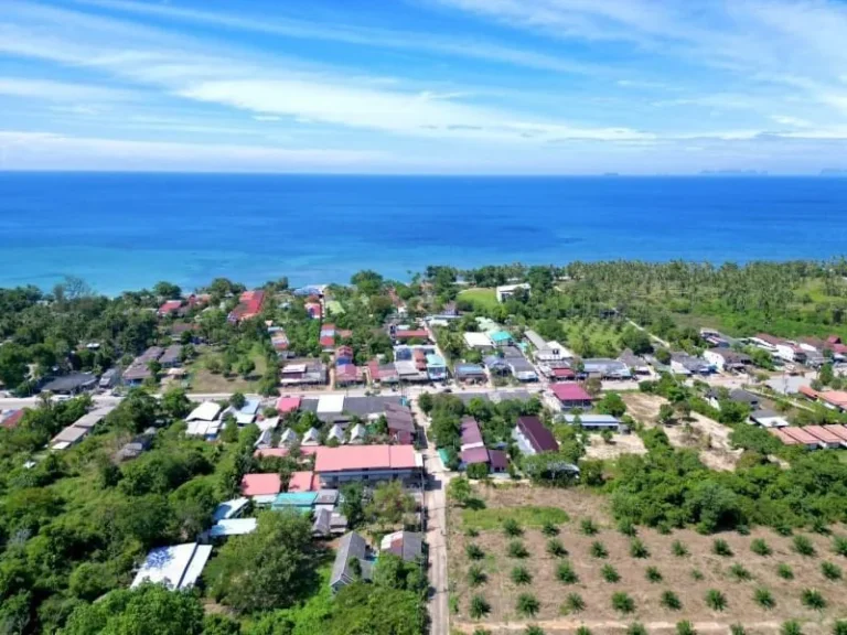 ขายที่ดิน Sea View สุดพิเศษ บนเกาะลันตา ทำเลทองพร้อมวิวทะเลแ