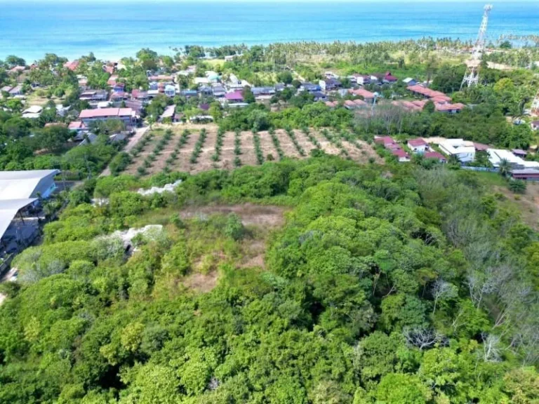 ขายที่ดิน Sea View สุดพิเศษ บนเกาะลันตา ทำเลทองพร้อมวิวทะเลแ