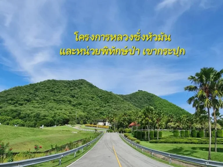 ขายที่ดินวิวเขาติดถนน น้ำไฟ สระ แหล่งท่องเที่ยว ชุมชน ท่ายาง